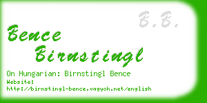 bence birnstingl business card